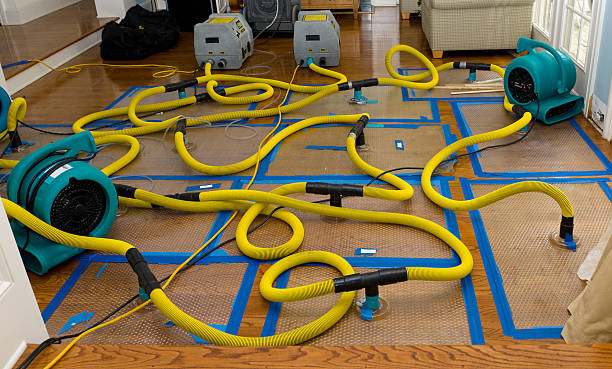 Professional Crawl Space Water Removal technician working in Bellflower, CA